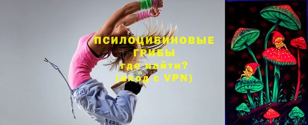 соль ск Нязепетровск