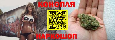 Альфа ПВП Берёзовский